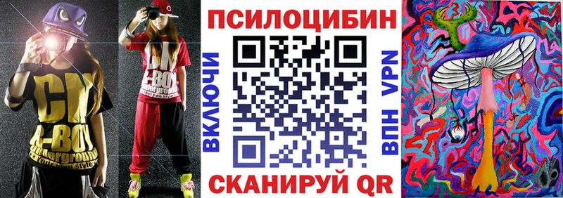 ОМГ ОМГ как войти Кулебаки Псилоцибиновые грибы Psilocybine cubensis